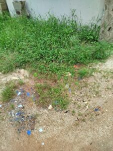 Agricultural Ecology in Agriculture