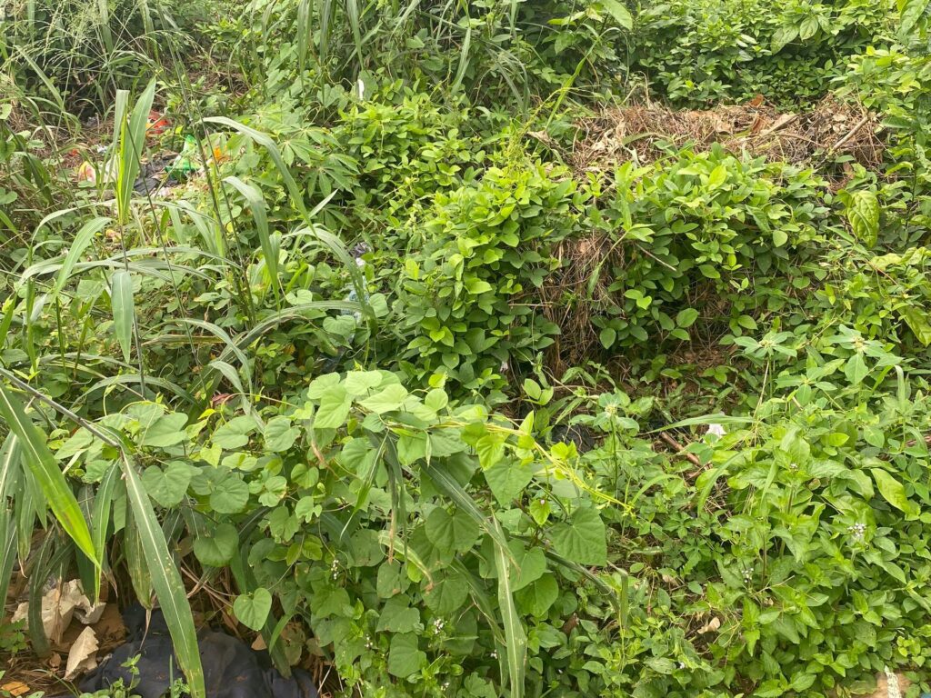 Problems of Agricultural Development In Nigeria