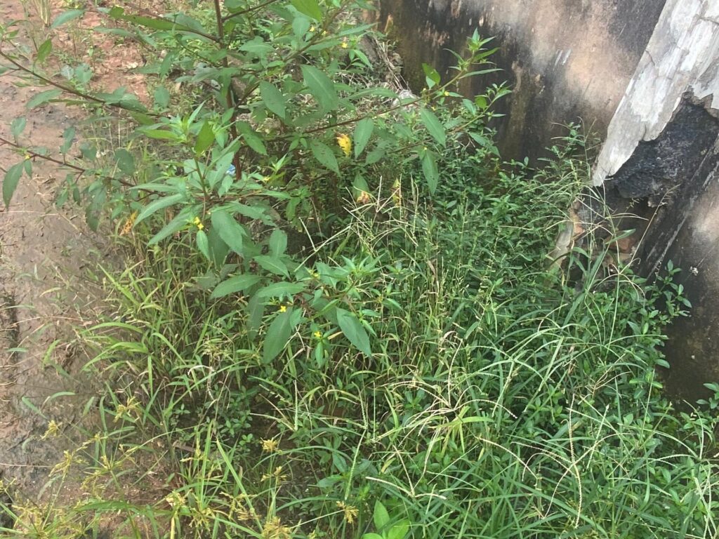 Economical importance of land