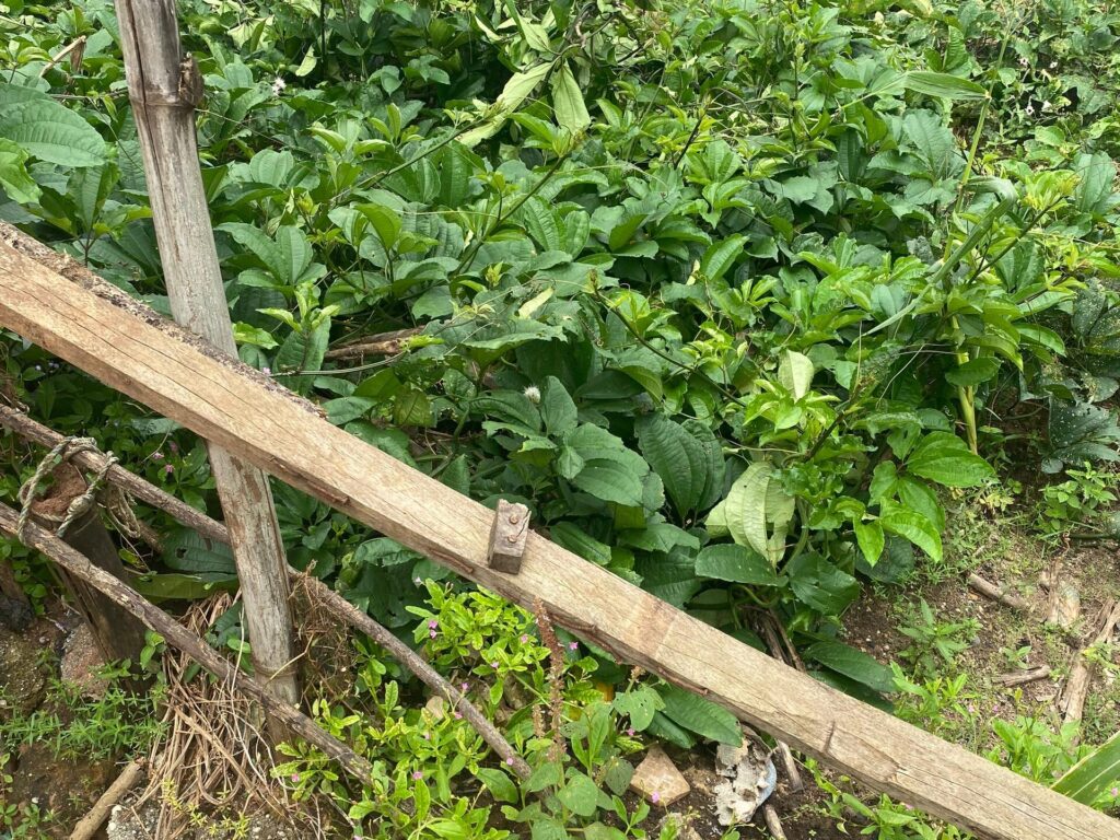 Rock Formation and origination