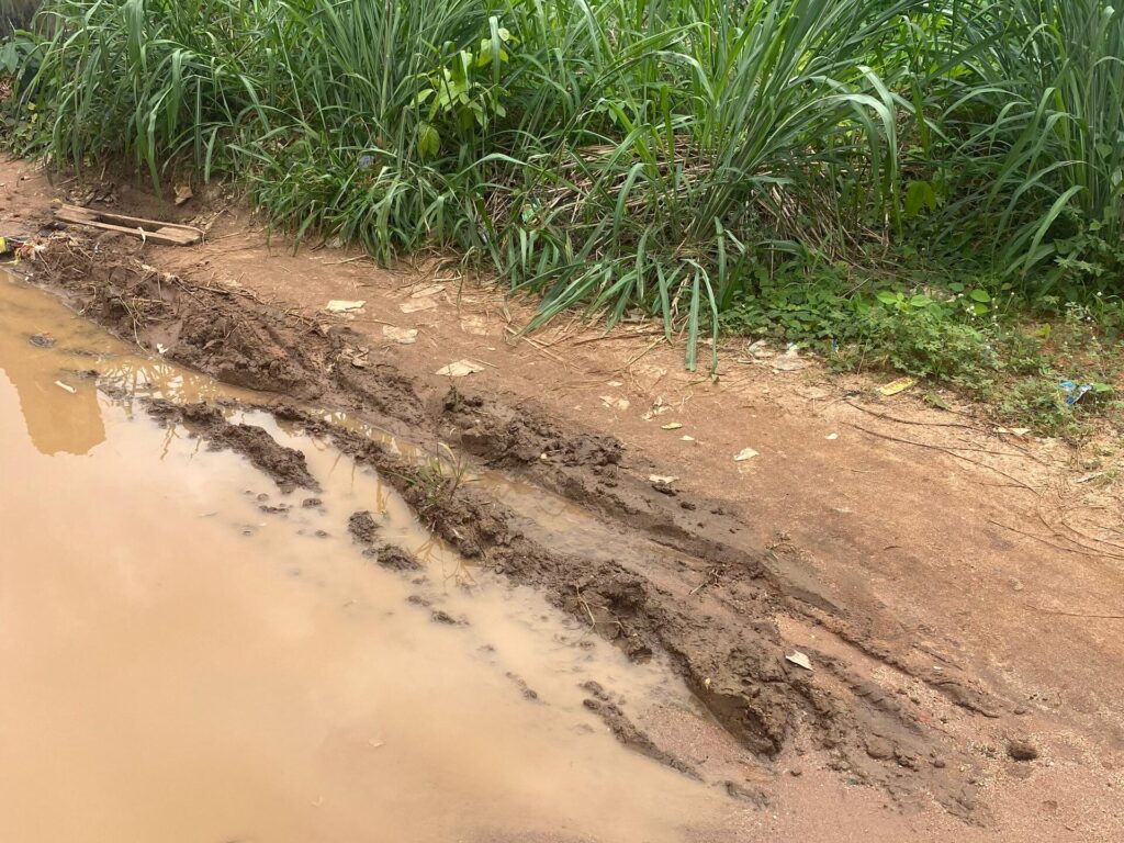 Irrigation system and importance